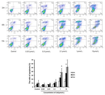 Cucurbitacin E Induces Autophagy-Involved Apoptosis in Intestinal Epithelial Cells